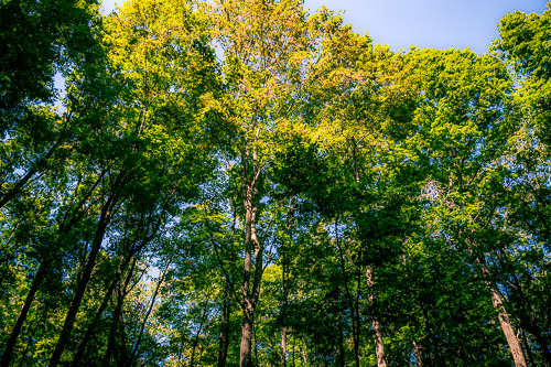 Traverse City, MI - Sep 2024